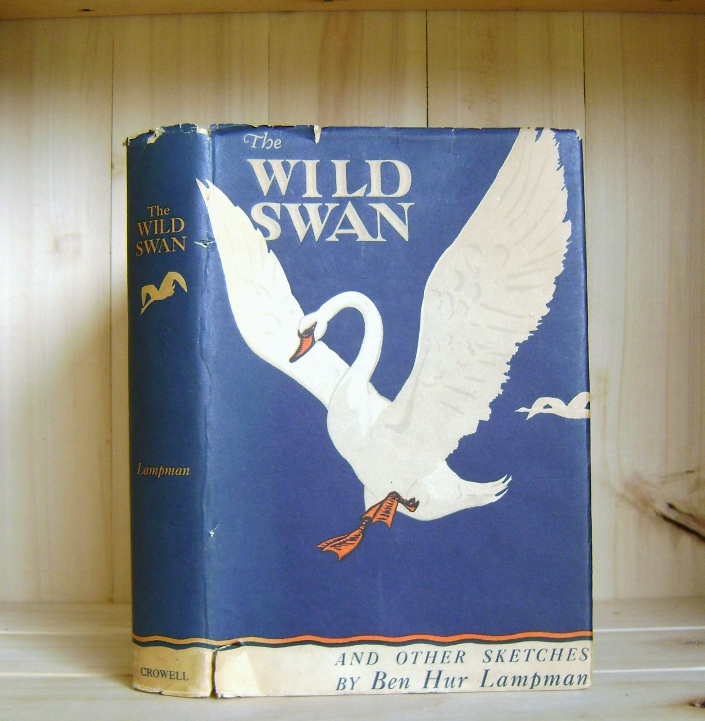 The Wild Swan and Other Sketches Image for The Wild Swan and Other Sketches