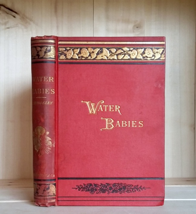 The Water Babies: A Fairy Tale for a Land Baby Image for The Water Babies: A Fairy Tale for a Land Baby