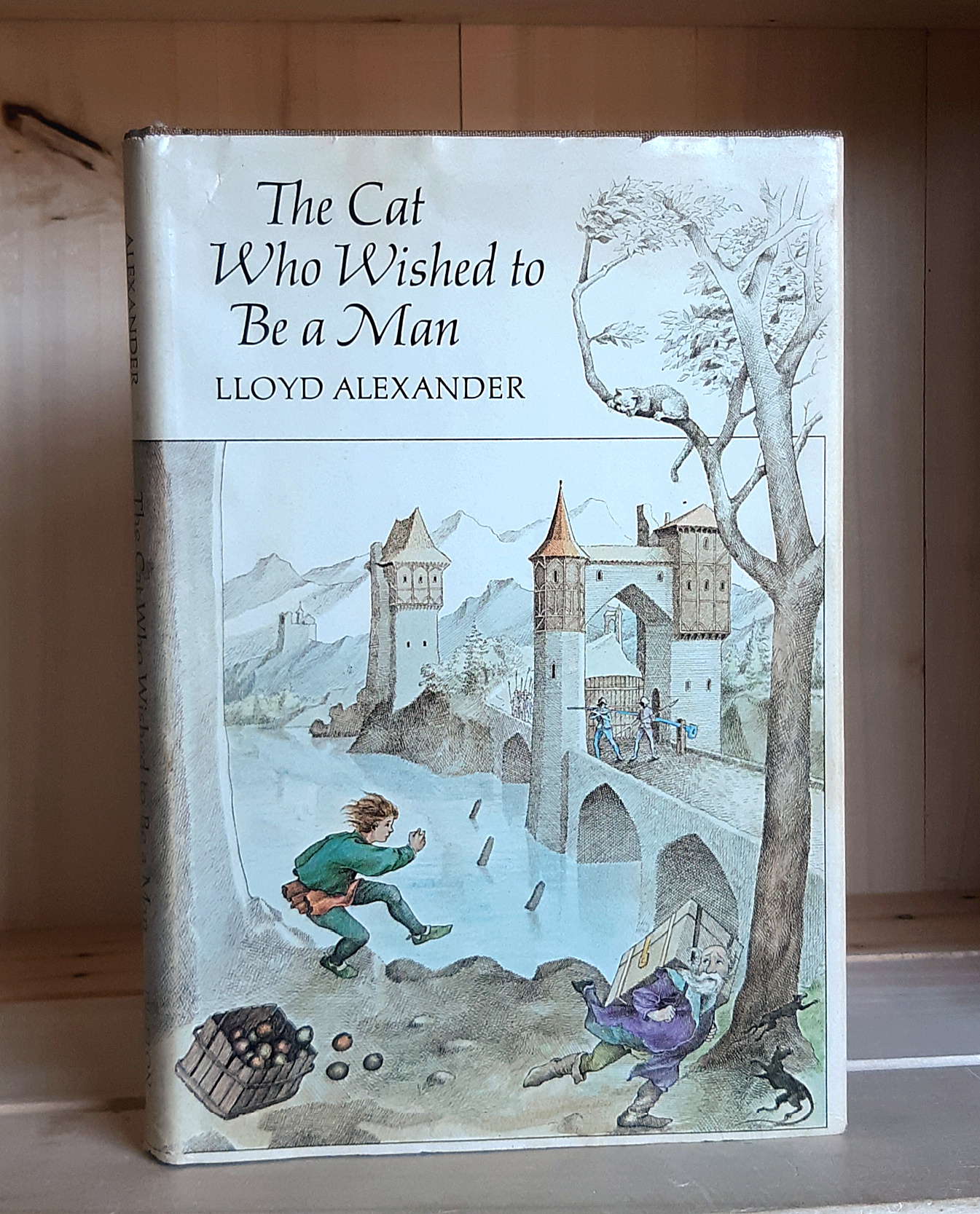 Image for The Cat Who Wished to Be a Man