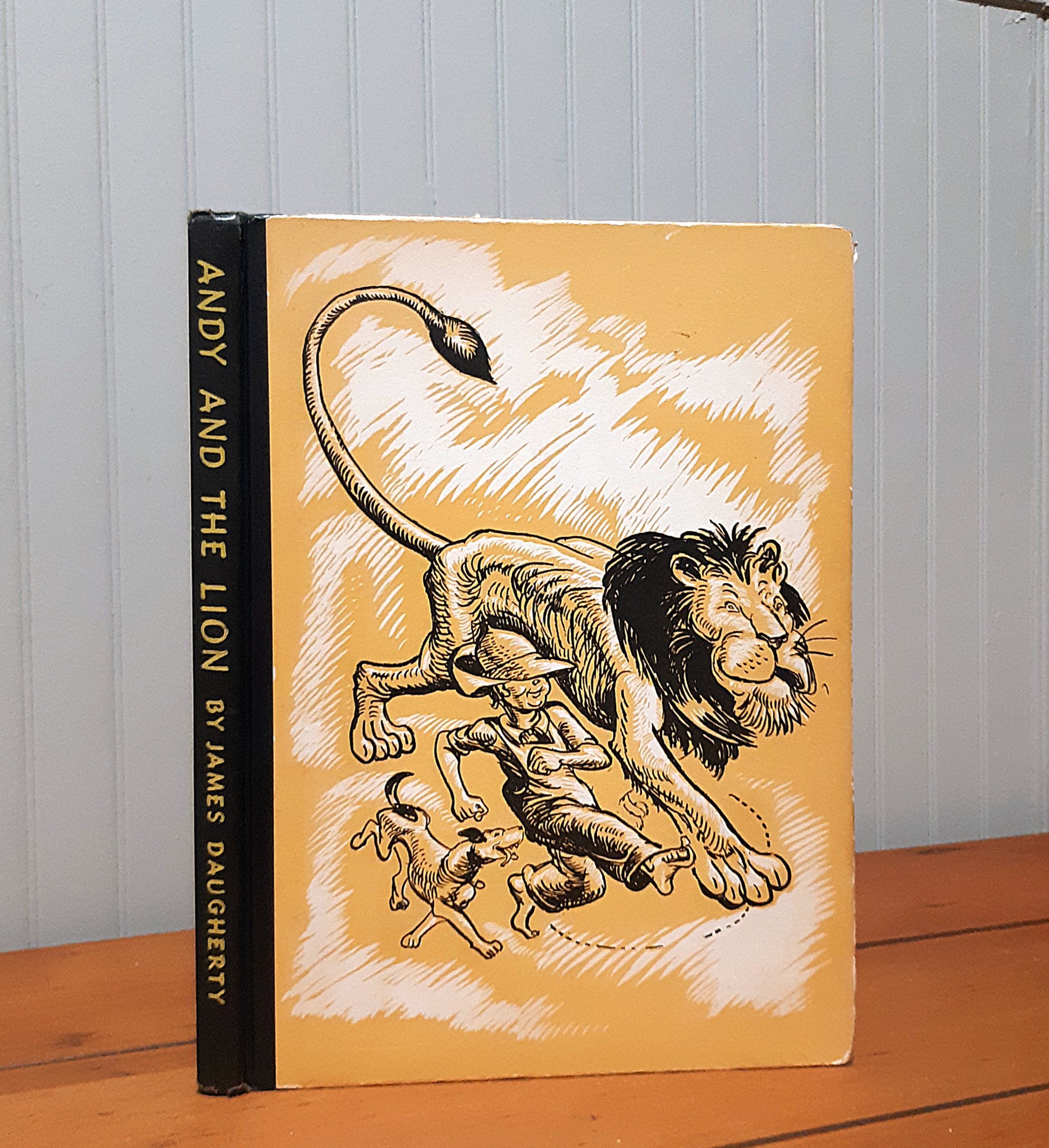Image for Andy and the Lion