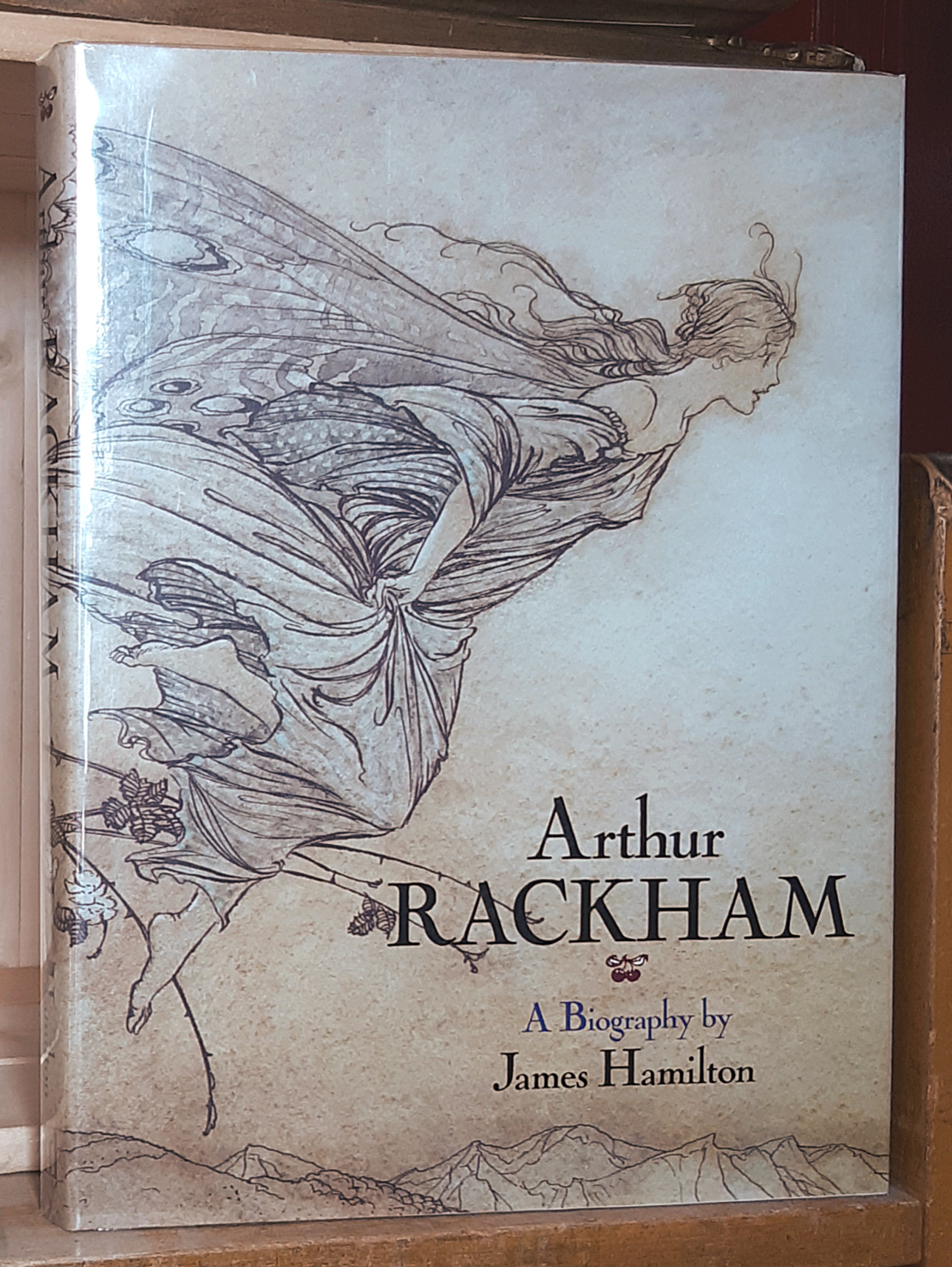 Image for Arthur Rackham: A Biography