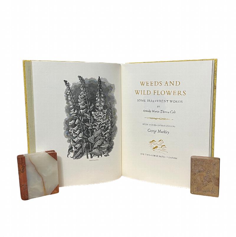 Image for Weeds and Wild Flowers: Some Irreverent Words