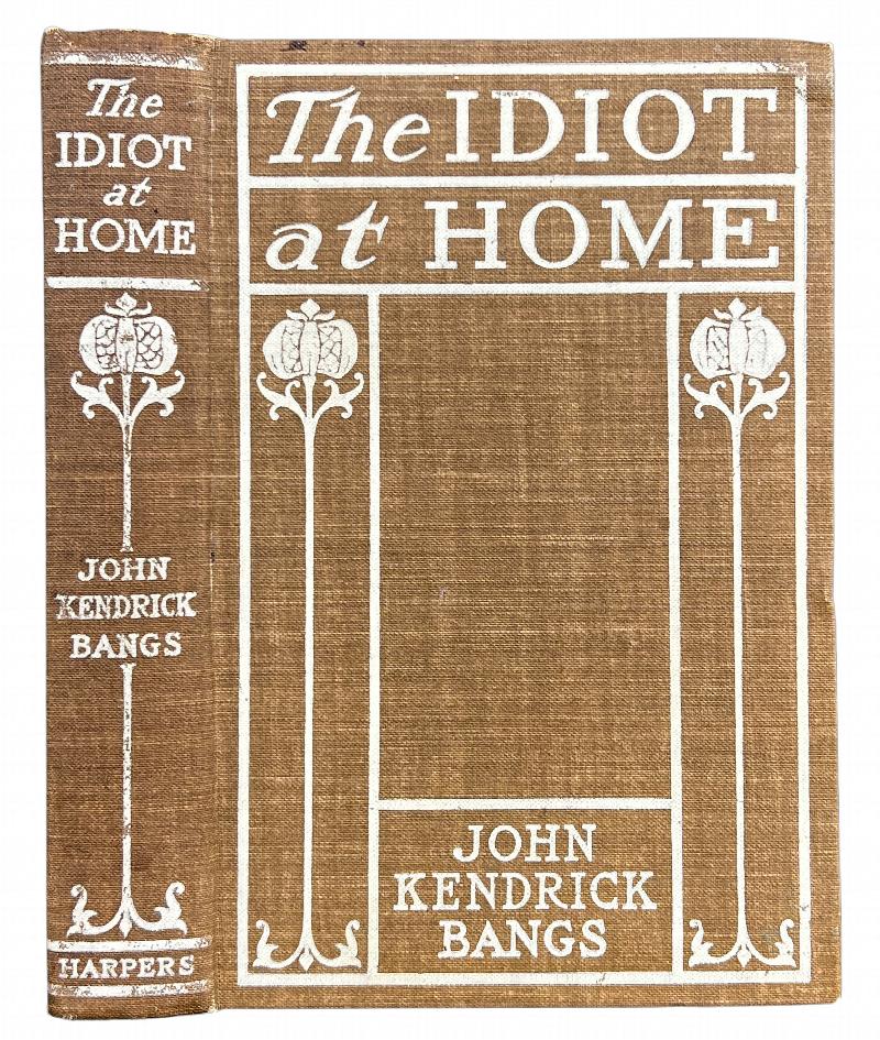 Image for The Idiot at Home.