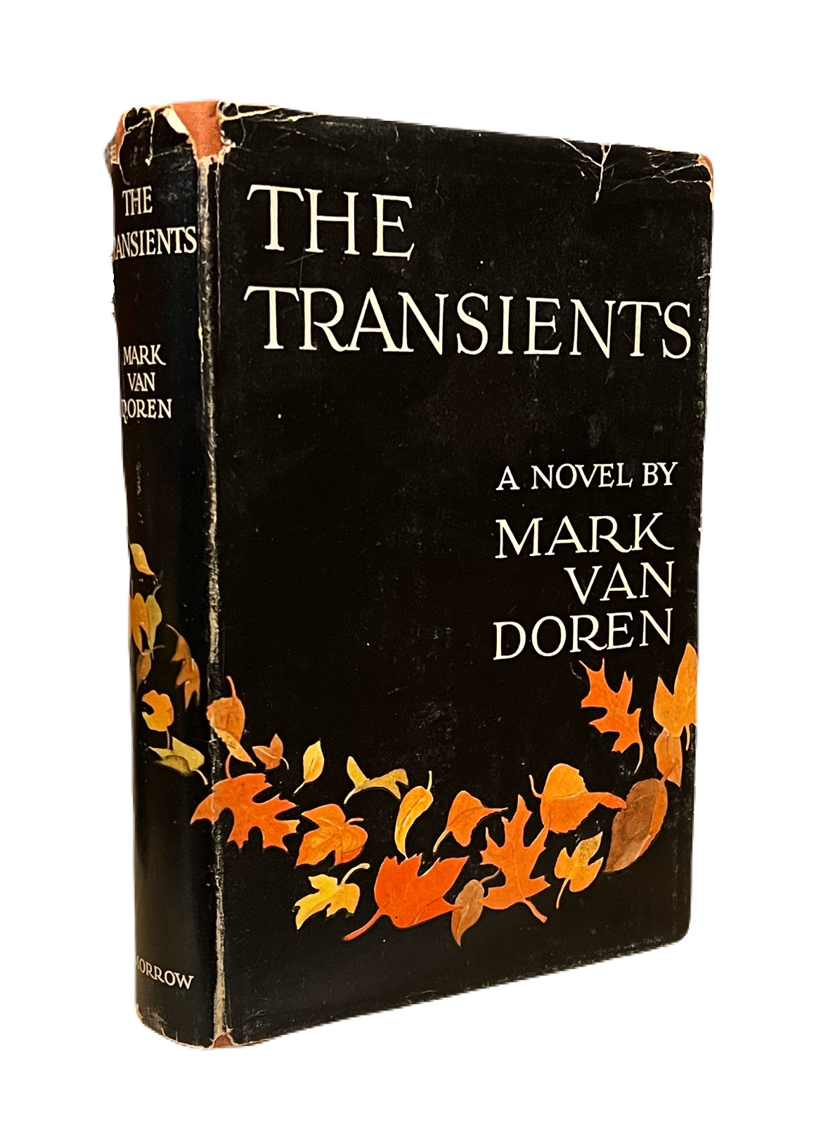The Transients