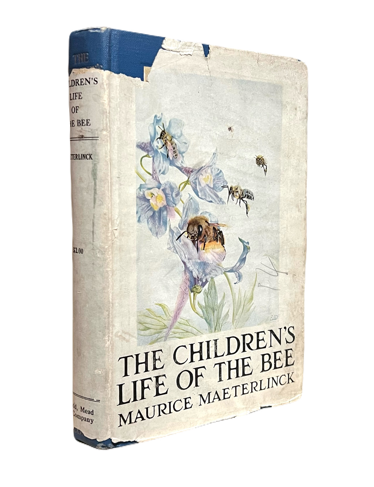 The Children's Life of the Bee