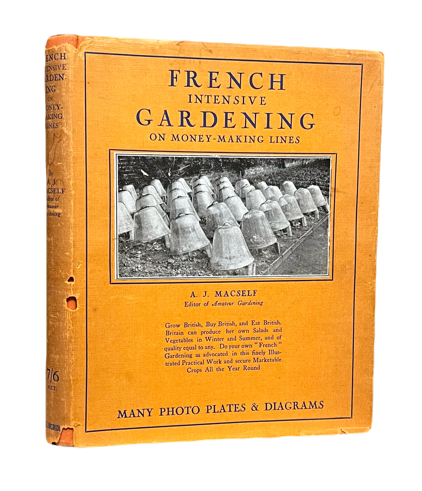 French Intensive Gardening on Money-Making Lines